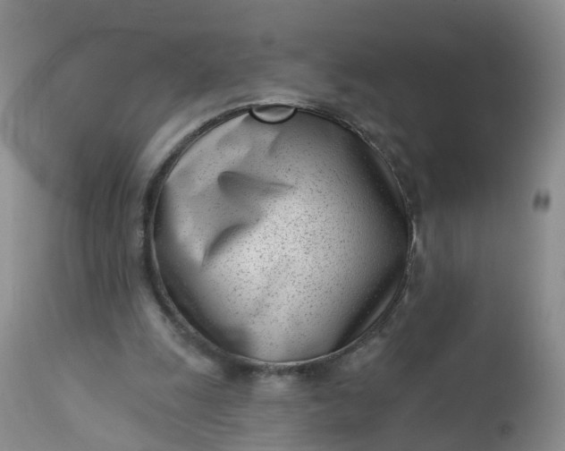 X0000113100247200909111058