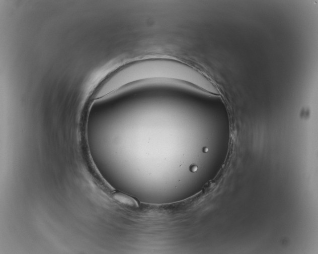 X0000113100248200909111058