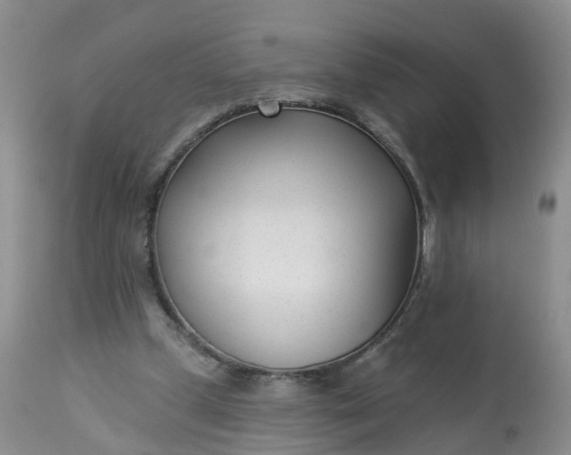 X0000113100249200909111058