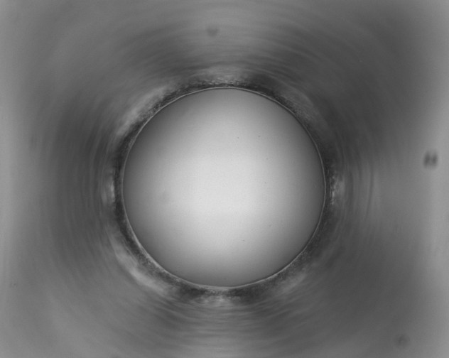 X0000113100254200909111059