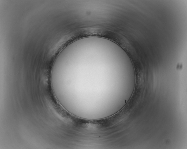 X0000113100255200909111059