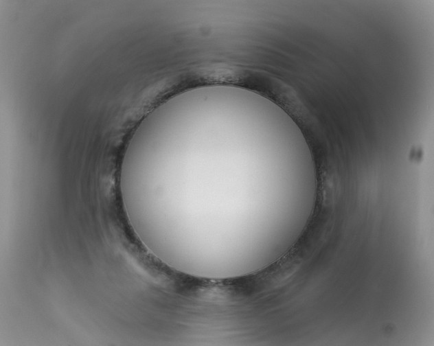 X0000113100259200909111059