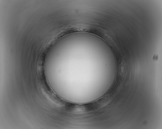 X0000113100263200909111059