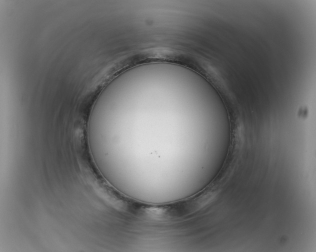 X0000113100265200909111059