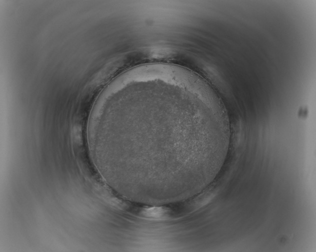 X0000113100269200909111059
