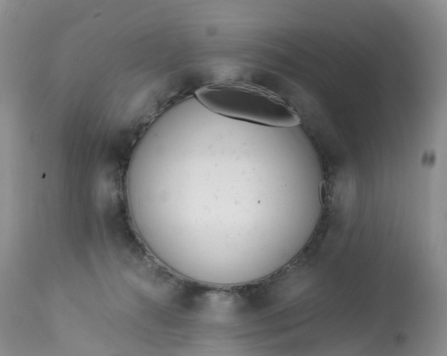 X0000113100272200909111059