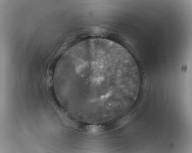 X0000113100273200909111059