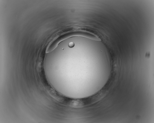 X0000113100275200909111059