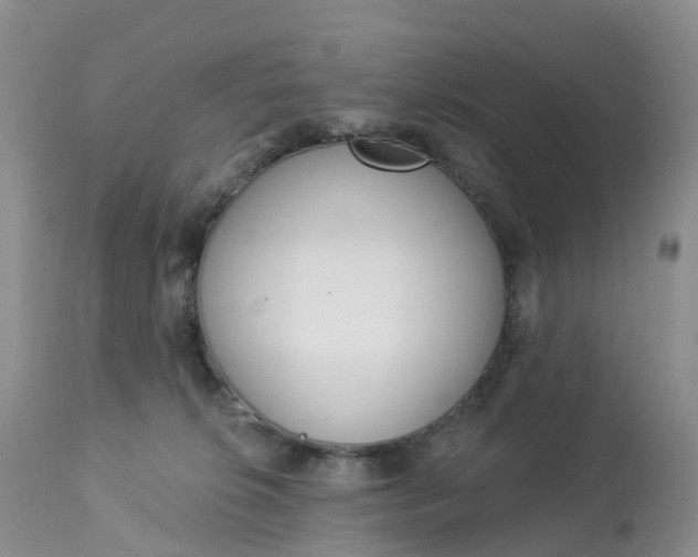 X0000113100276200909111059