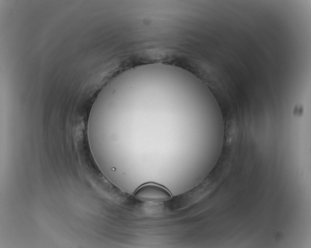 X0000113100279200909111059
