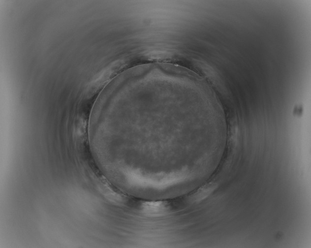 X0000113100281200909111059
