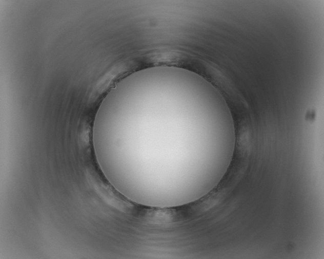 X0000113100282200909111059