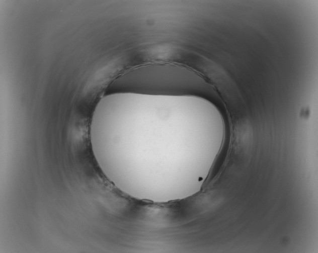 X0000113100284200909111059