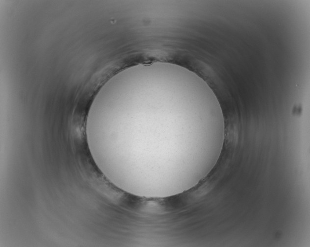 X0000113100285200909111059