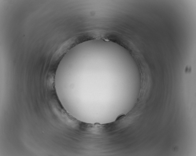X0000113100288200909111059