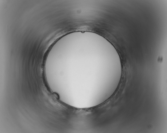 X0000113100290200909111058