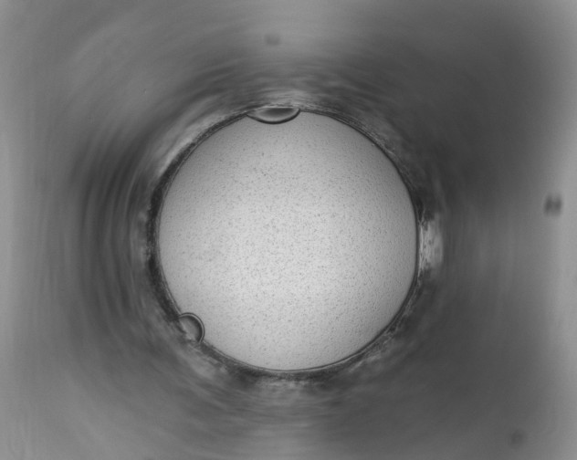 X0000113100291200909111058