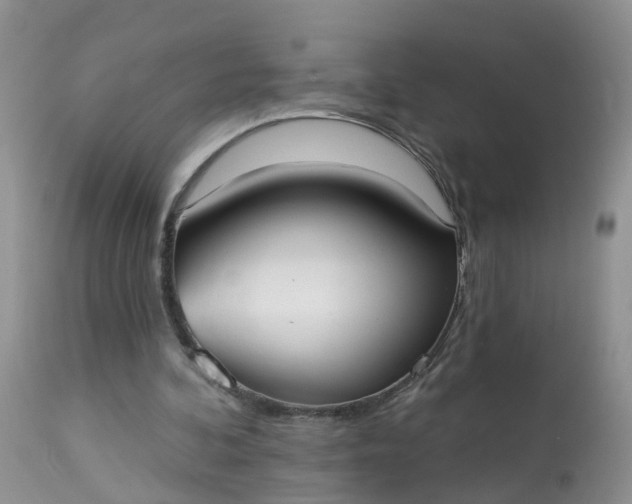 X0000113100292200909111058