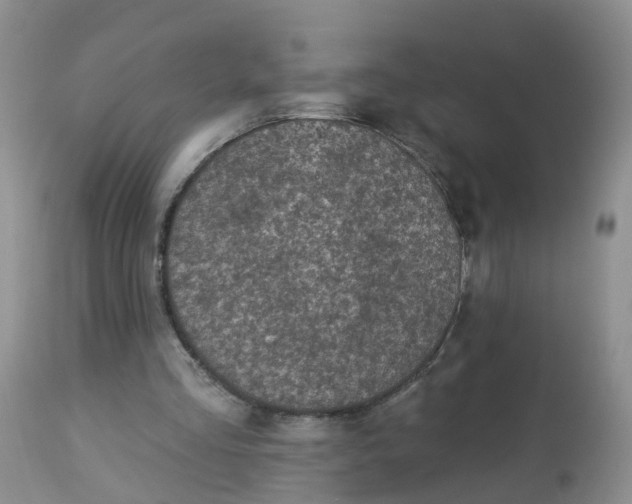 X0000113100293200909111058