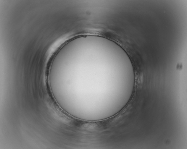 X0000113100294200909111058