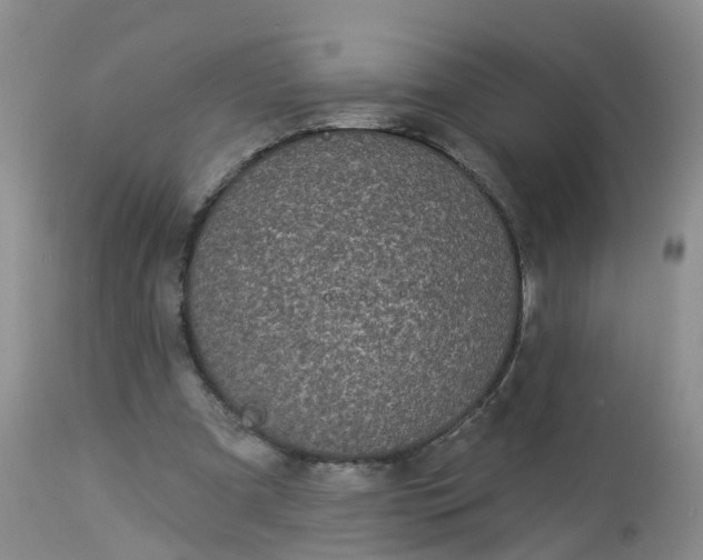 X0000113100297200909111058