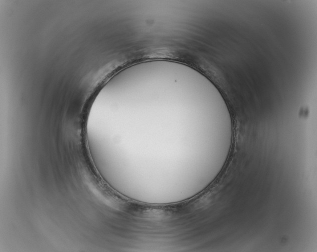 X0000113100298200909111058