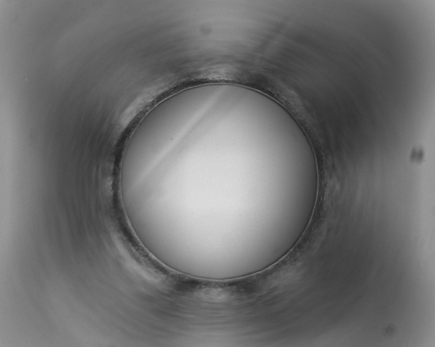 X0000113100299200909111058