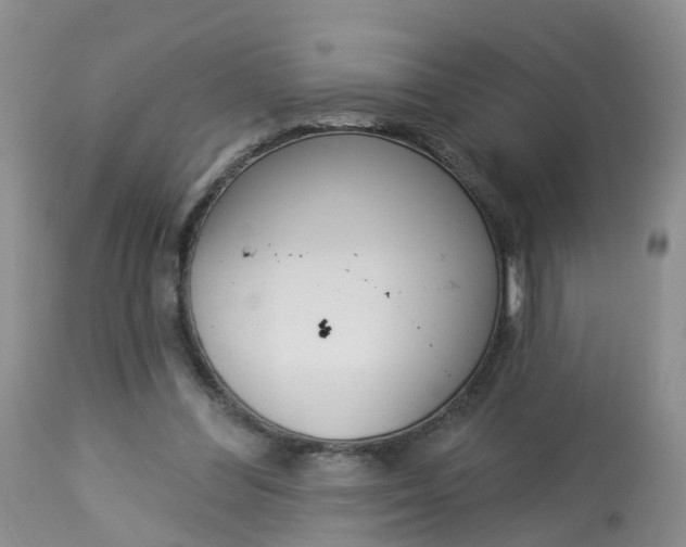 X0000113100300200909111058