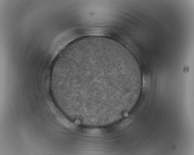 X0000113100301200909111058