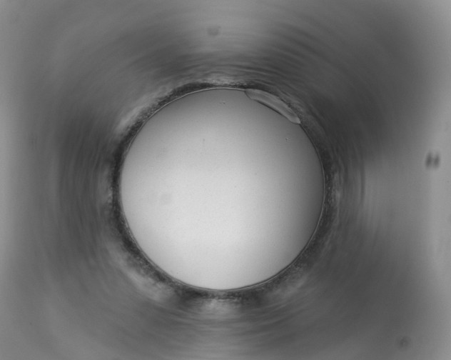X0000113100303200909111058