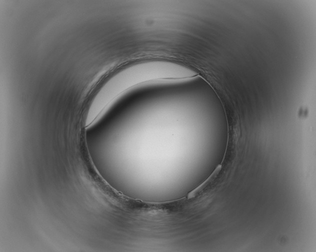X0000113100304200909111058