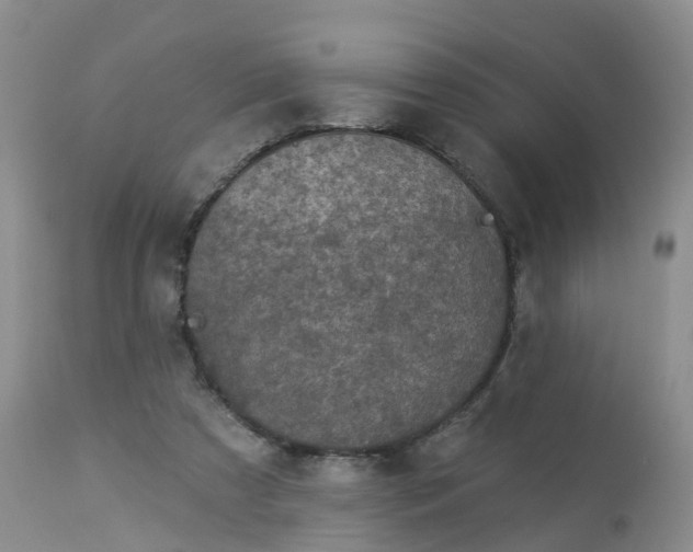 X0000113100305200909111058