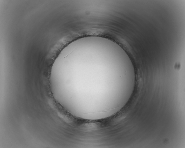 X0000113100307200909111058