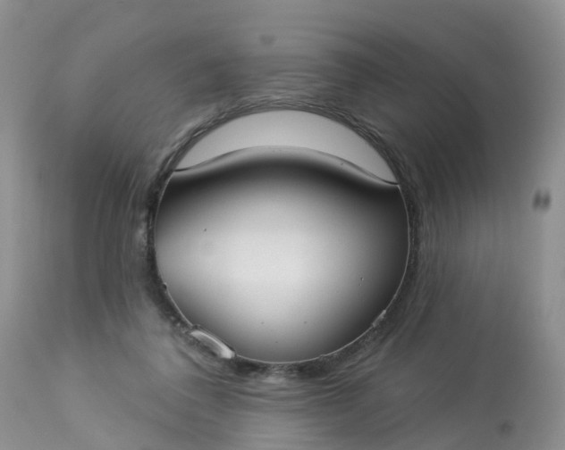X0000113100308200909111058