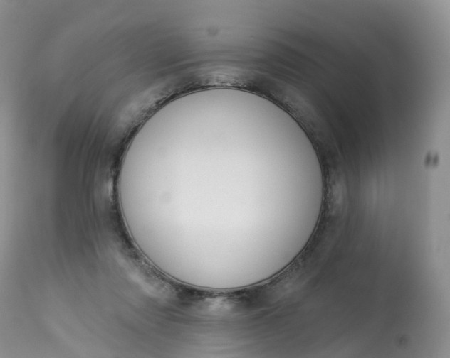 X0000113100310200909111058