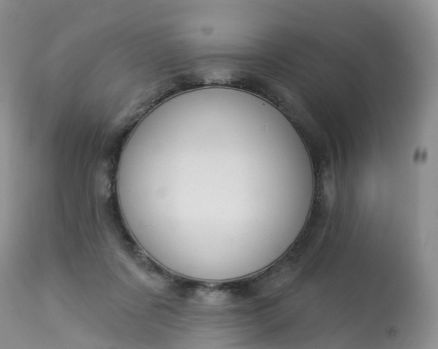 X0000113100311200909111058