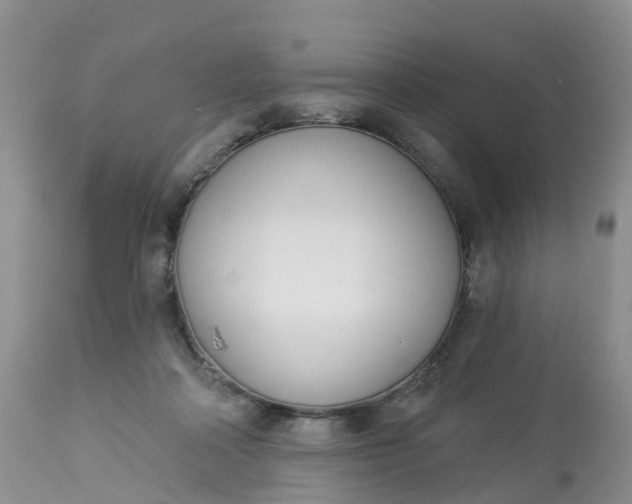X0000113100314200909111058