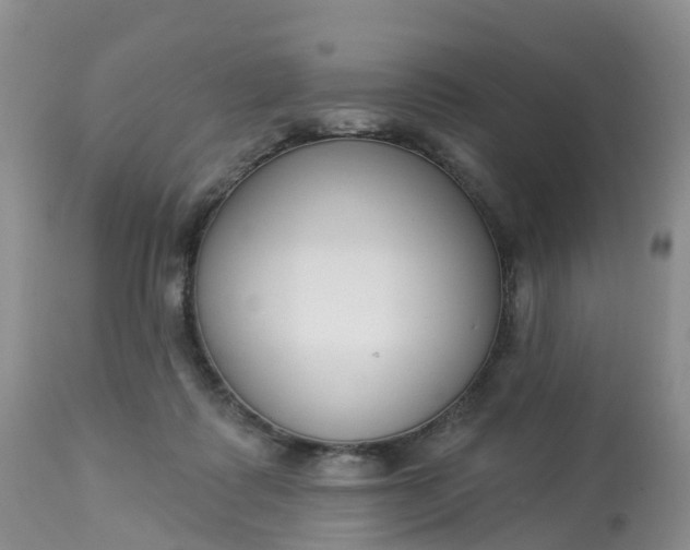 X0000113100315200909111058