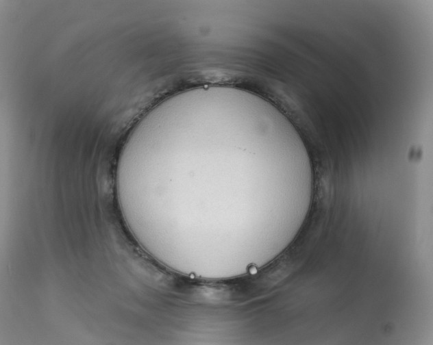 X0000113100317200909111058