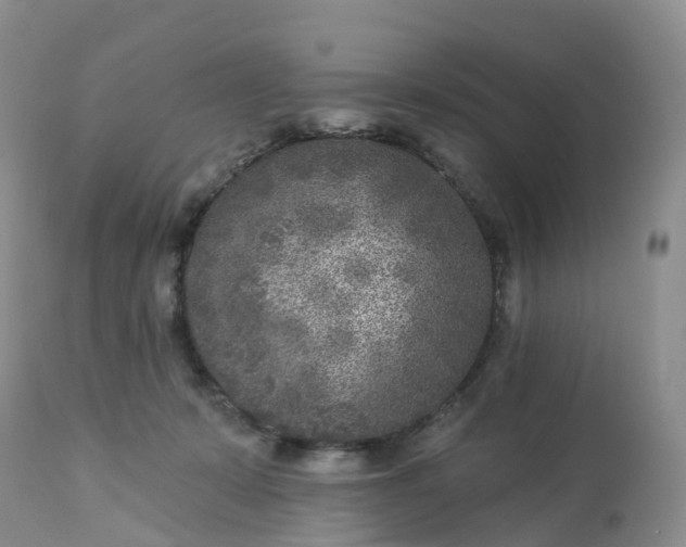 X0000113100319200909111058