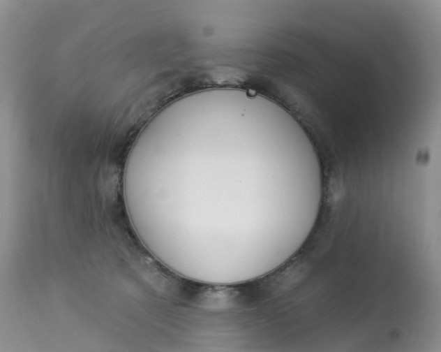 X0000113100321200909111058