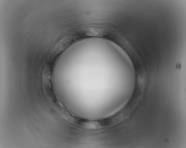 X0000113100322200909111058