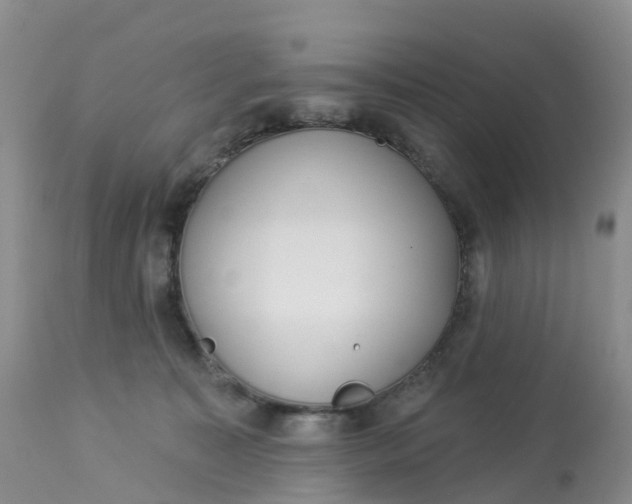 X0000113100323200909111058