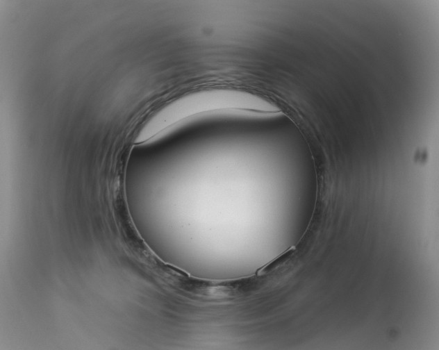 X0000113100324200909111058