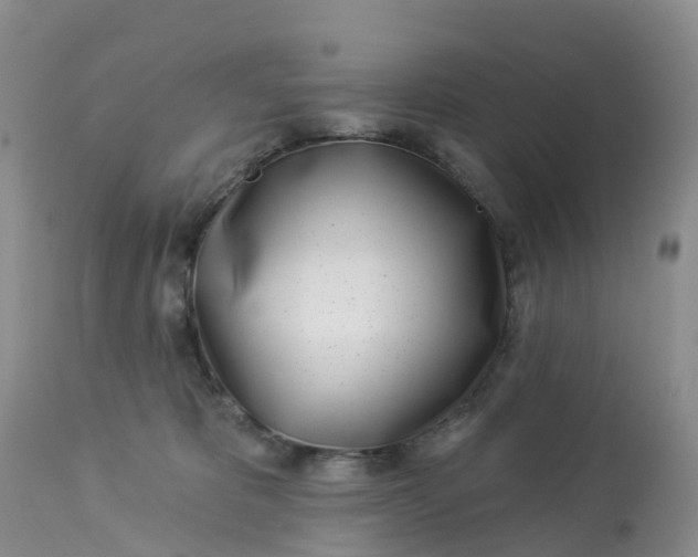 X0000113100325200909111058