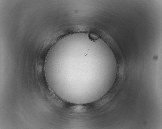 X0000113100326200909111058