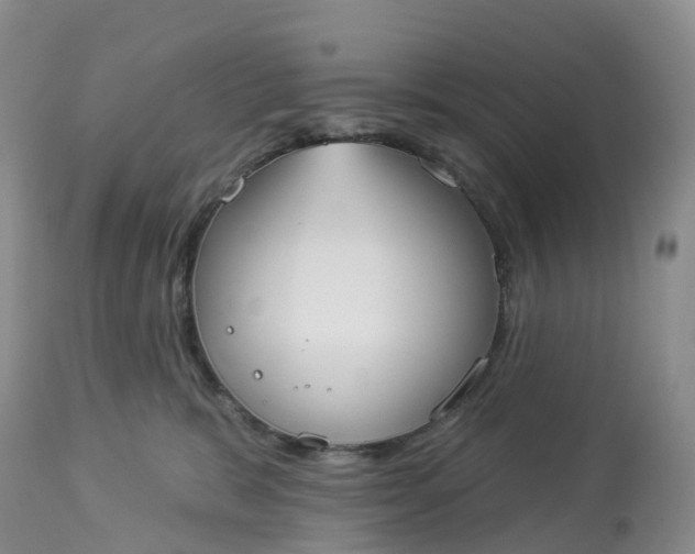 X0000113100327200909111058