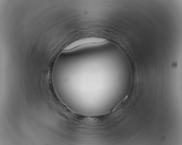 X0000113100328200909111058