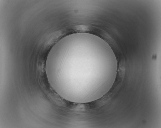 X0000113100330200909111058