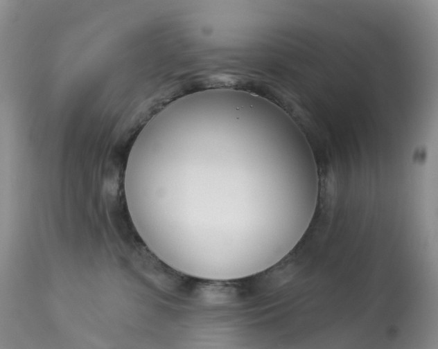 X0000113100331200909111058